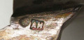 Подстаканник Харбин