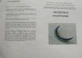 Брошь антикварная с сапфирами