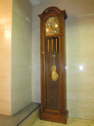 Напольные немецкие часы "Franz Hermle" с надписью "Tempus fugit"